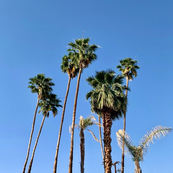 Meet your Posher, Slrposhshop - Picture 1 of 1